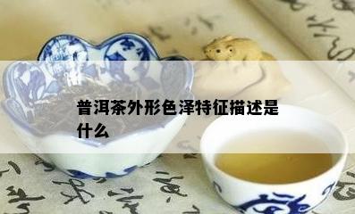 普洱茶外形色泽特征描述是什么