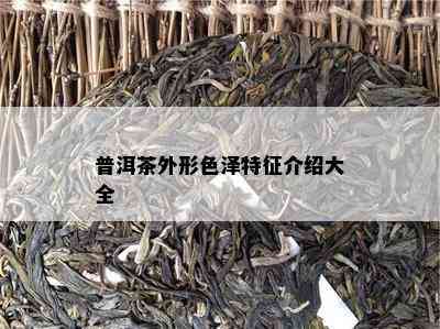 普洱茶外形色泽特征介绍大全