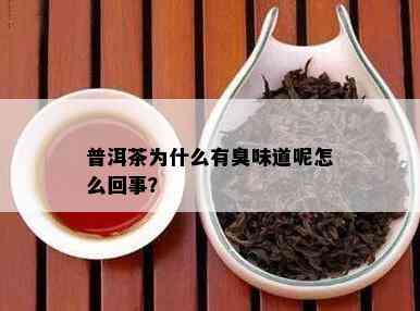 普洱茶为什么有臭味道呢怎么回事？