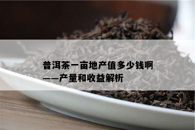 普洱茶一亩地产值多少钱啊——产量和收益解析