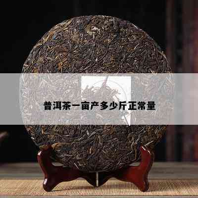 普洱茶一亩产多少斤正常量