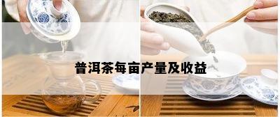 普洱茶每亩产量及收益