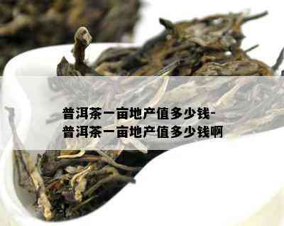 普洱茶一亩地产值多少钱-普洱茶一亩地产值多少钱啊