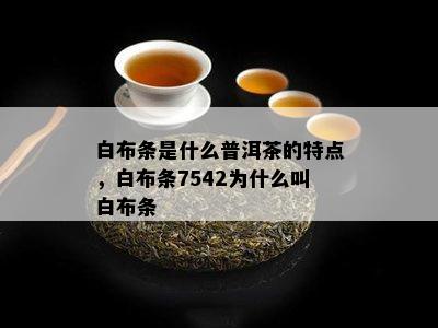 白布条是什么普洱茶的特点，白布条7542为什么叫白布条