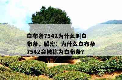 白布条7542为什么叫白布条，解密：为什么白布条7542会被称为白布条？