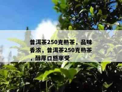 普洱茶250克熟茶，品味香浓，普洱茶250克熟茶，醇厚口感享受