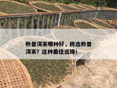 熟普洱茶哪种好，挑选熟普洱茶？这种更佳选择！