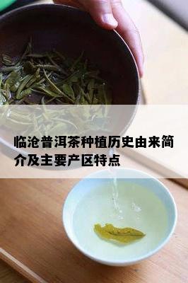 临沧普洱茶种植历史由来简介及主要产区特点