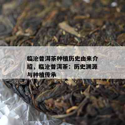 临沧普洱茶种植历史由来介绍，临沧普洱茶：历史渊源与种植传承