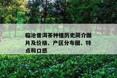 临沧普洱茶种植历史简介图片及价格、产区分布图、特点和口感