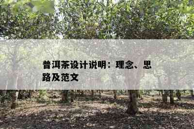 普洱茶设计说明：理念、思路及范文