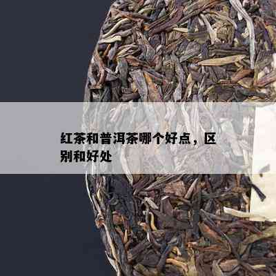 红茶和普洱茶哪个好点，区别和好处