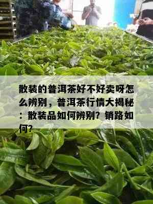 散装的普洱茶好不好卖呀怎么辨别，普洱茶行情大揭秘：散装品如何辨别？销路如何？