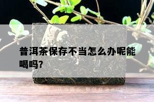 普洱茶保存不当怎么办呢能喝吗？