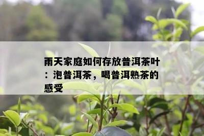 雨天家庭如何存放普洱茶叶：泡普洱茶，喝普洱熟茶的感受