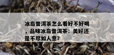 冰岛普洱茶怎么看好不好喝，品味冰岛普洱茶：美好还是不尽如人意？