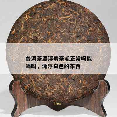 普洱茶漂浮着毫毛正常吗能喝吗，漂浮白色的东西