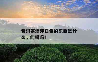 普洱茶漂浮白色的东西是什么，能喝吗？