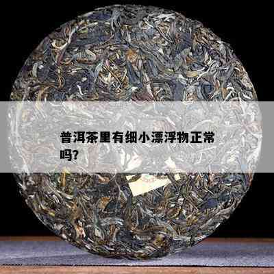 普洱茶里有细小漂浮物正常吗？