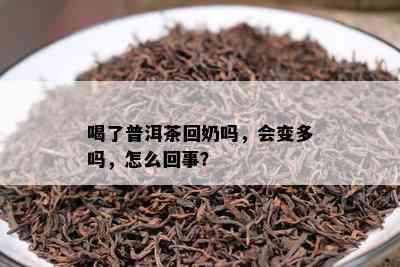 喝了普洱茶回奶吗，会变多吗，怎么回事？