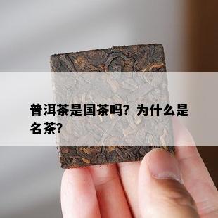 普洱茶是国茶吗？为什么是名茶？