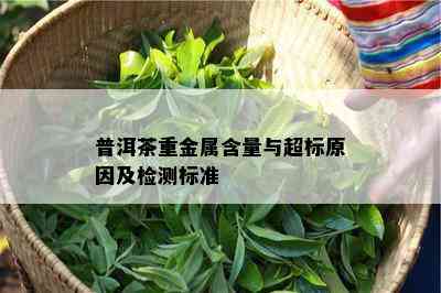 普洱茶重金属含量与超标原因及检测标准