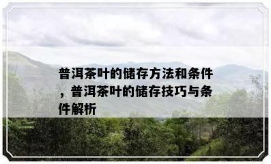 普洱茶叶的储存方法和条件，普洱茶叶的储存技巧与条件解析