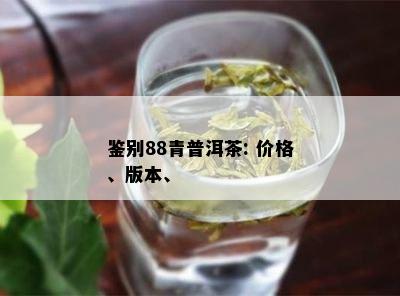 鉴别88青普洱茶: 价格、版本、