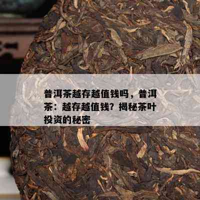 普洱茶越存越值钱吗，普洱茶：越存越值钱？揭秘茶叶投资的秘密