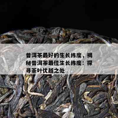 普洱茶更好的生长纬度，揭秘普洱茶更佳生长纬度：探寻茶叶优越之处