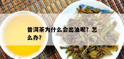 普洱茶为什么会出油呢？怎么办？