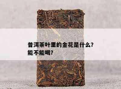 普洱茶叶里的金花是什么？能不能喝？