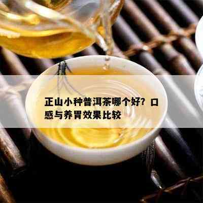 正山小种普洱茶哪个好？口感与养胃效果比较