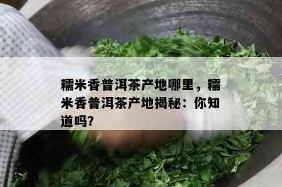 糯米香普洱茶产地哪里，糯米香普洱茶产地揭秘：你知道吗？