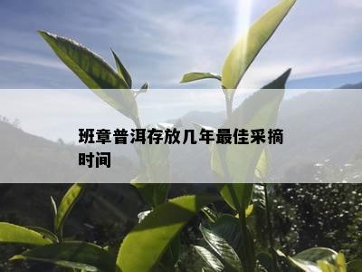 班章普洱存放几年更佳采摘时间