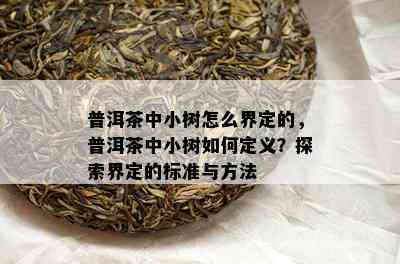 普洱茶中小树怎么界定的，普洱茶中小树如何定义？探索界定的标准与方法