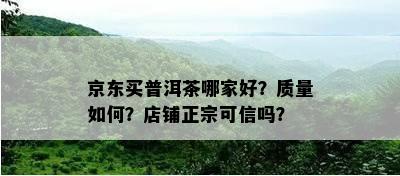 京东买普洱茶哪家好？质量如何？店铺正宗可信吗？