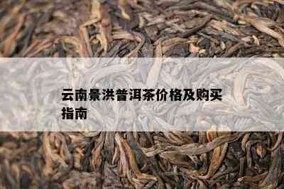 云南景洪普洱茶价格及购买指南