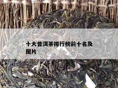 十大普洱茶排行榜前十名及图片