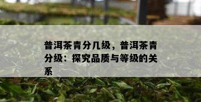 普洱茶青分几级，普洱茶青分级：探究品质与等级的关系