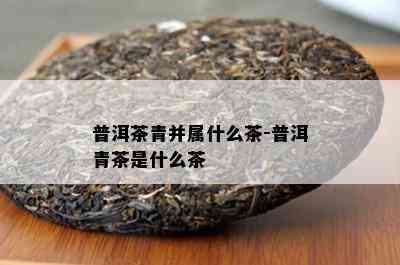 普洱茶青并属什么茶-普洱青茶是什么茶