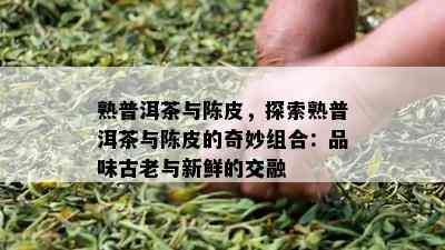 熟普洱茶与陈皮，探索熟普洱茶与陈皮的奇妙组合：品味古老与新鲜的交融