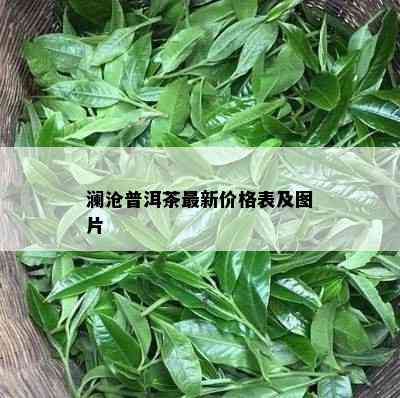 澜沧普洱茶最新价格表及图片