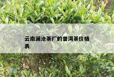 云南澜沧茶厂的普洱茶价格表