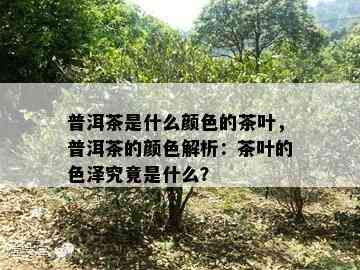 普洱茶是什么颜色的茶叶，普洱茶的颜色解析：茶叶的色泽究竟是什么？