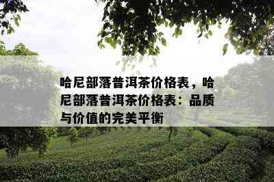 哈尼部落普洱茶价格表，哈尼部落普洱茶价格表：品质与价值的完美平衡