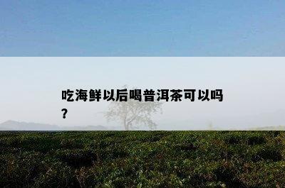 吃海鲜以后喝普洱茶可以吗？