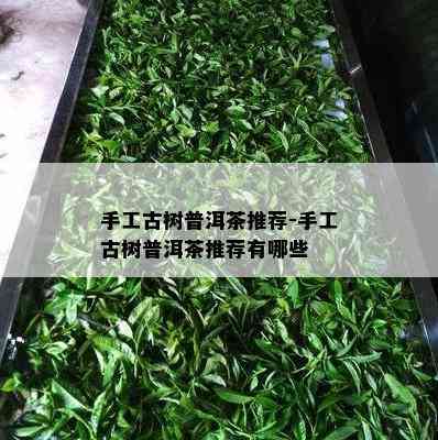 手工古树普洱茶推荐-手工古树普洱茶推荐有哪些