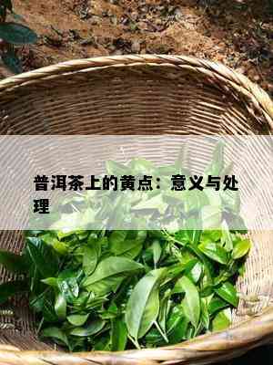 普洱茶上的黄点：意义与处理