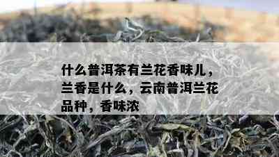 什么普洱茶有兰花香味儿，兰香是什么，云南普洱兰花品种，香味浓